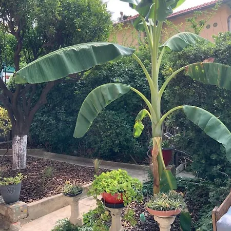 Сasa de vacaciones Douceur D'azur Niza