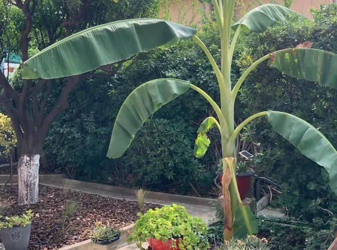 Сasa de vacaciones Douceur D'azur Niza